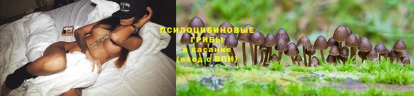 ПСИЛОЦИБИНОВЫЕ ГРИБЫ Волоколамск