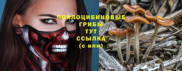 первитин Володарск