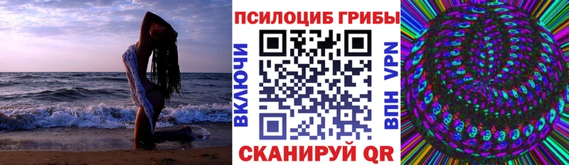Галлюциногенные грибы Cubensis  Домодедово 